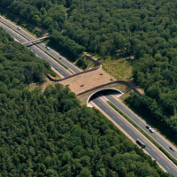 Grünbrücke über die Autobahn A 7 Fulda-Würzburg bei Oberthulba, Landkreis Bad Kissingen