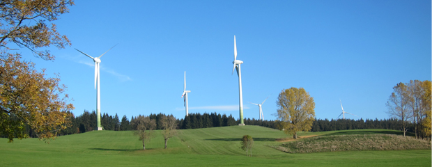 Windräder auf einer Wiese am Wald.